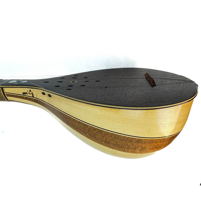 Persian Setar- Made by Pashazadeh - Music Balcony