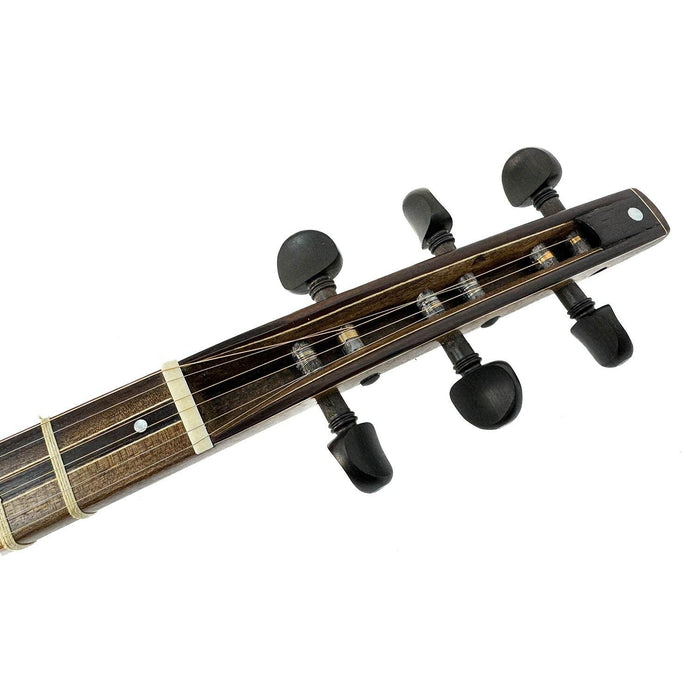 Shurangiz- Persian String Instrument- Made By Ramazani - Music Balcony