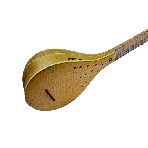 Setar - Made by Taheri Jam - Music Balcony