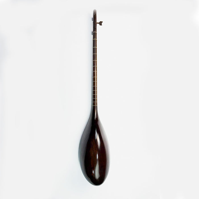 تنبور - ساخته صادق مهدوی