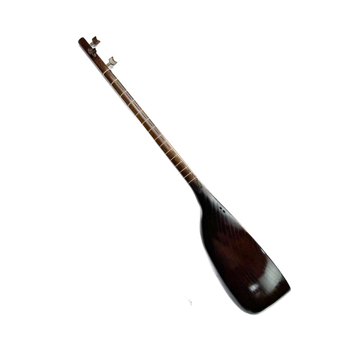 تنبور - ساخته صادق مهدوی