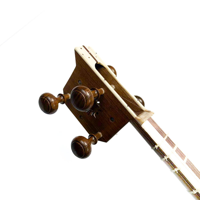 Tar - Professional Persian Instrument - Made by Dariush