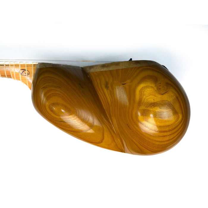 Tar - Made by Najafi