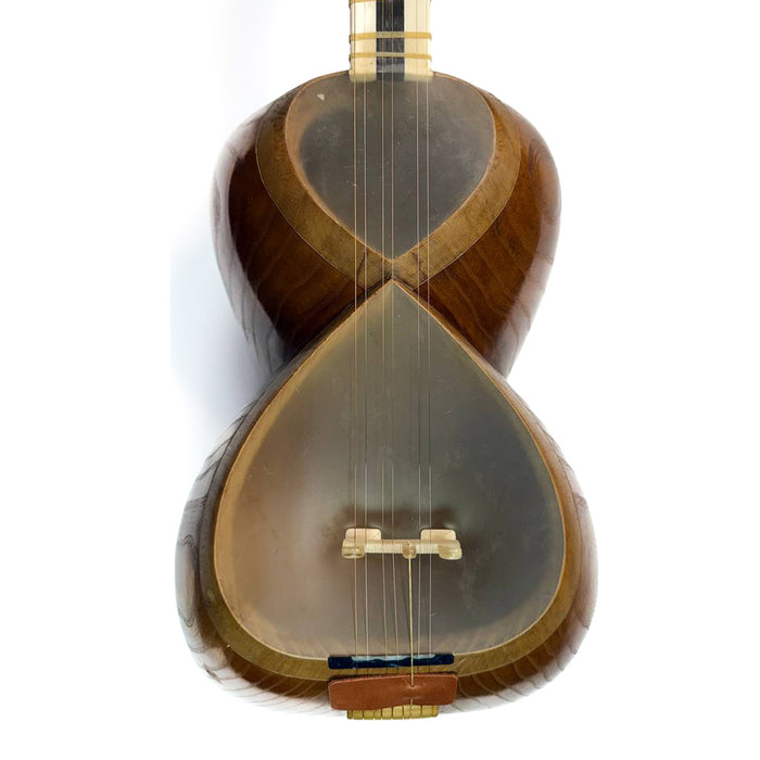 Tar - Professional Persian Instrument - Made by Ali Aliyari