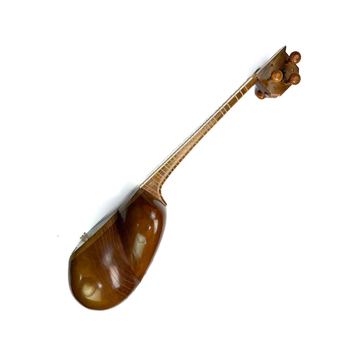 Tar - Professional Persian Instrument - Made by Ali Aliyari