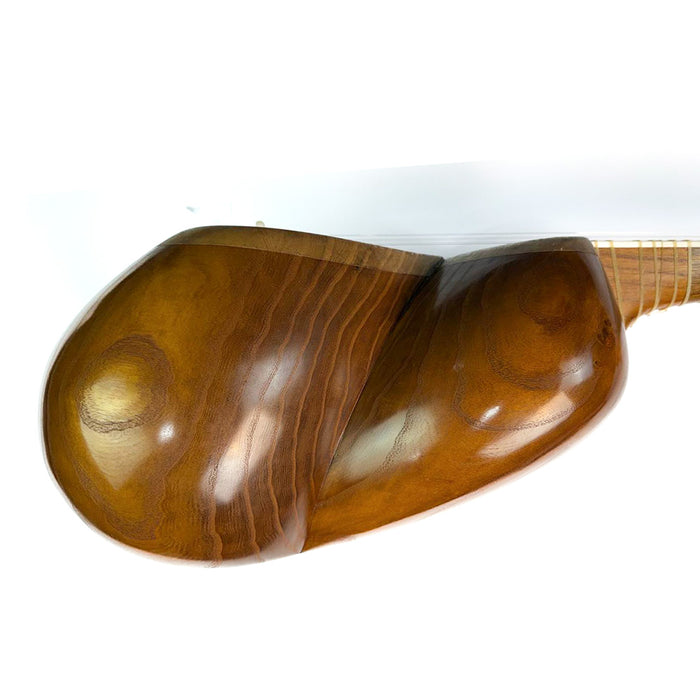 Tar - Professional Persian Instrument - Made by Ali Aliyari