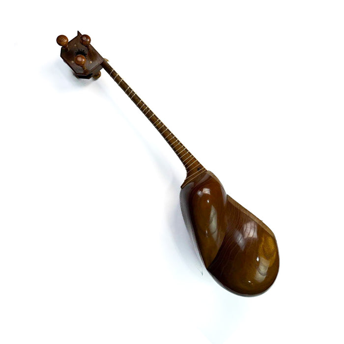 Tar - Professional Persian Instrument - Made by Ali Aliyari