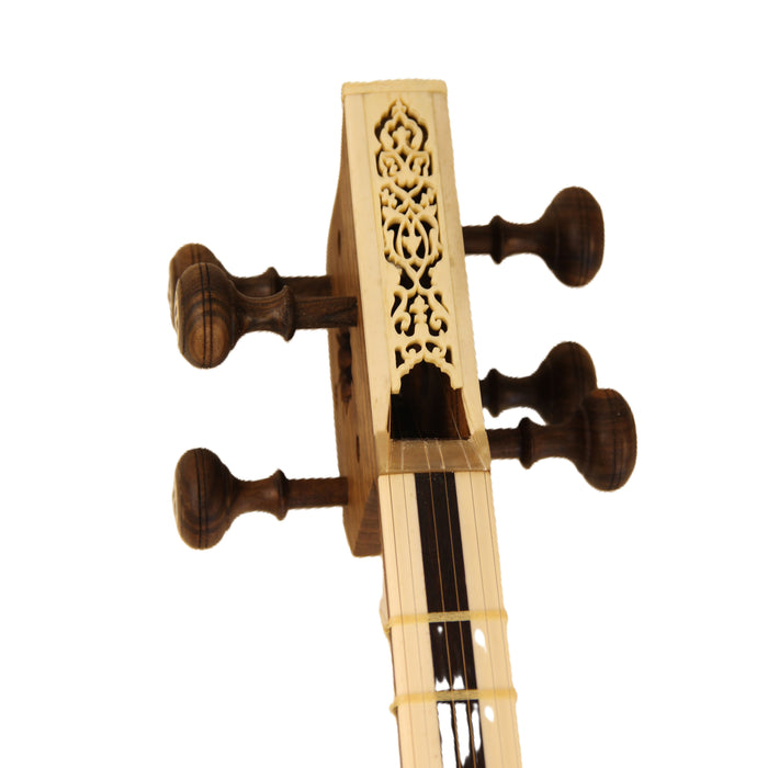 Tar - Professnal Persian String Instrument 2 - Made by Sadegh Mahdavi