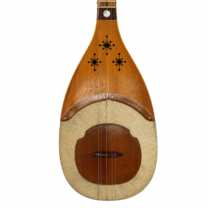 Shurangiz- Persian String Instrument- Made By Ramazani
