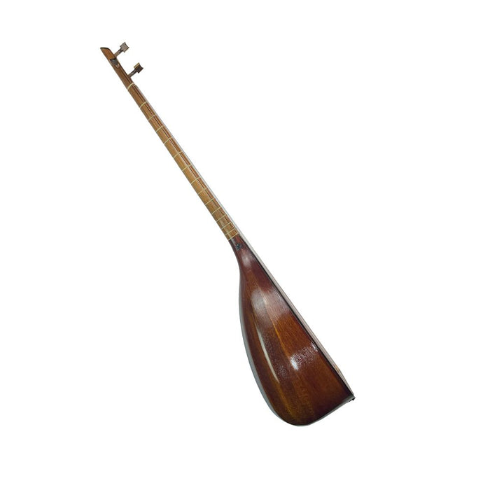 Tanbur-Made by Davood Meftahi