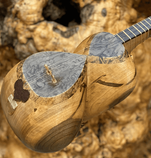 Tar - Made by Khojasteh - Music Balcony