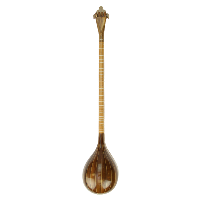 Persian Setar - String Musical Instrument - Made by Shahnava