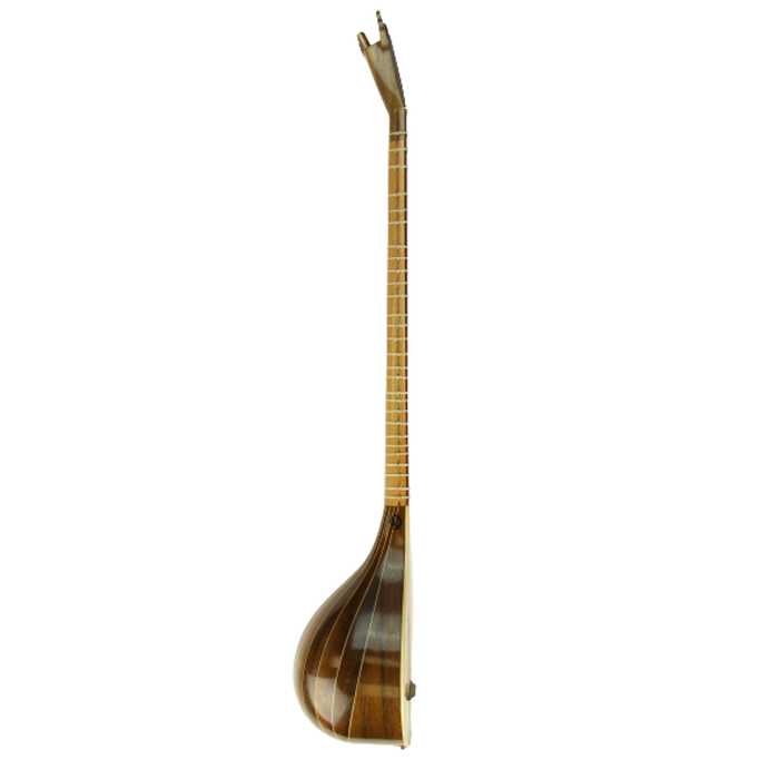 Persian Setar - String Musical Instrument - Made by Shahnava