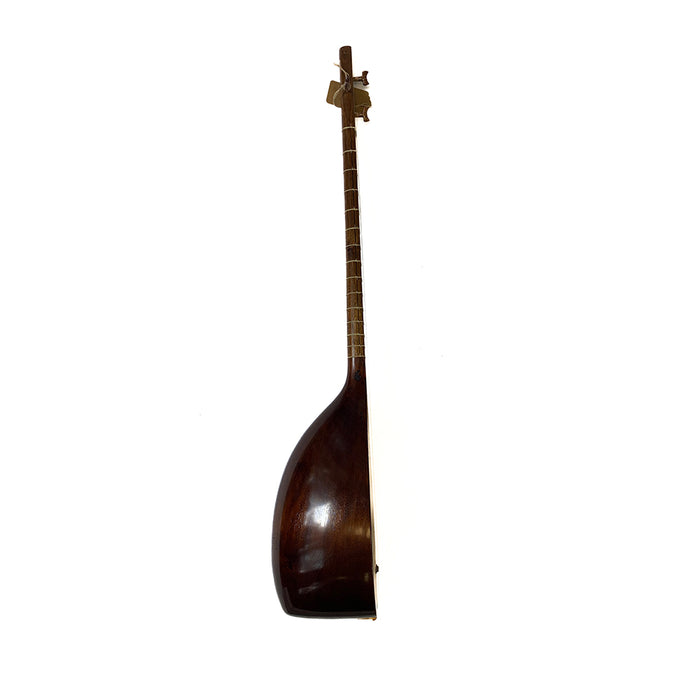 Tanbur - Made by Sadegh Mahdavi